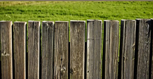 Poteaux en bois pour clôture : choix, prix et avis clients